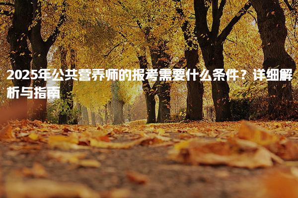 广东广州优路教育培训学校