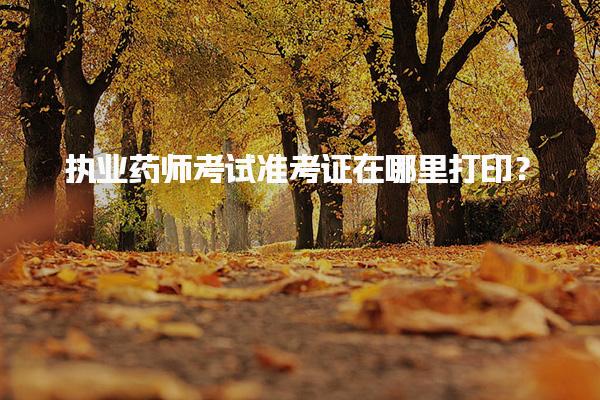 河北石家庄优路教育培训学校