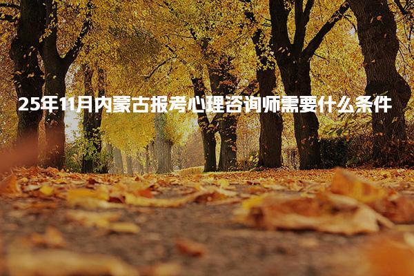 北京优路教育培训学校