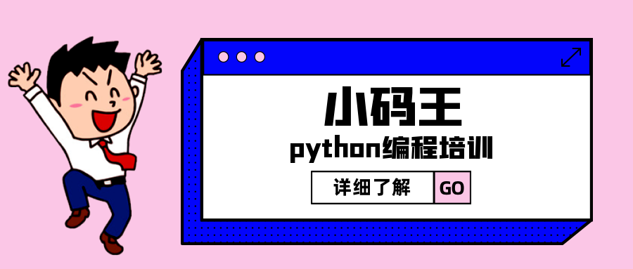 上海杨浦区政通路Python少儿编程培训
