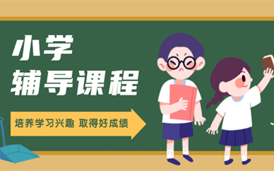 杭州滨江海豚教育小学辅导课程