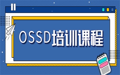 重庆沙坪坝朗阁OSSD培训课程