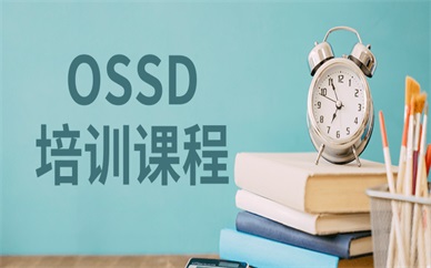 上海松江OSSD培训班