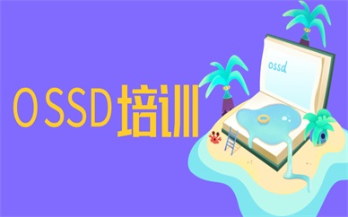 上海杨浦朗阁OSSD培训课程