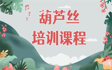 上海嘉定疁城秦汉胡同葫芦丝课程