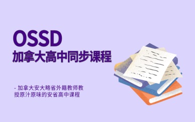 上海闵行环球OSSD高中部课程怎么样？