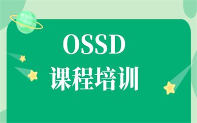 衡阳华新OSSD培训班推荐哪家？