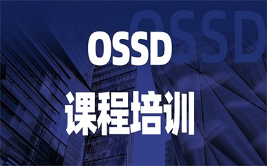 上海徐汇美世OSSD培训课程