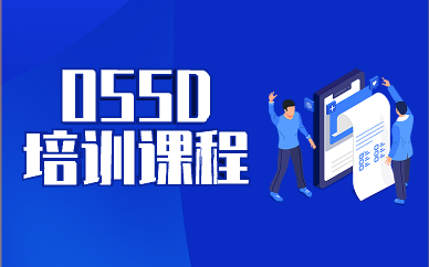 深圳美世OSSD培训班