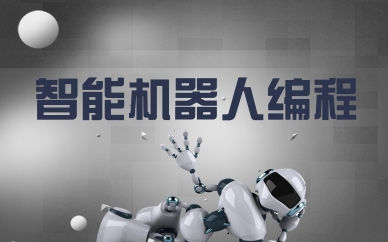 上海长宁智能机器人编程培训课程