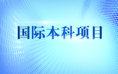 上海徐匯國際本科項目服務規劃