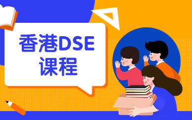 上海美世香港DSE课程规划