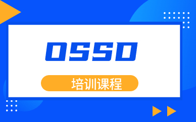 北京顺义OSSD国际课程培训
