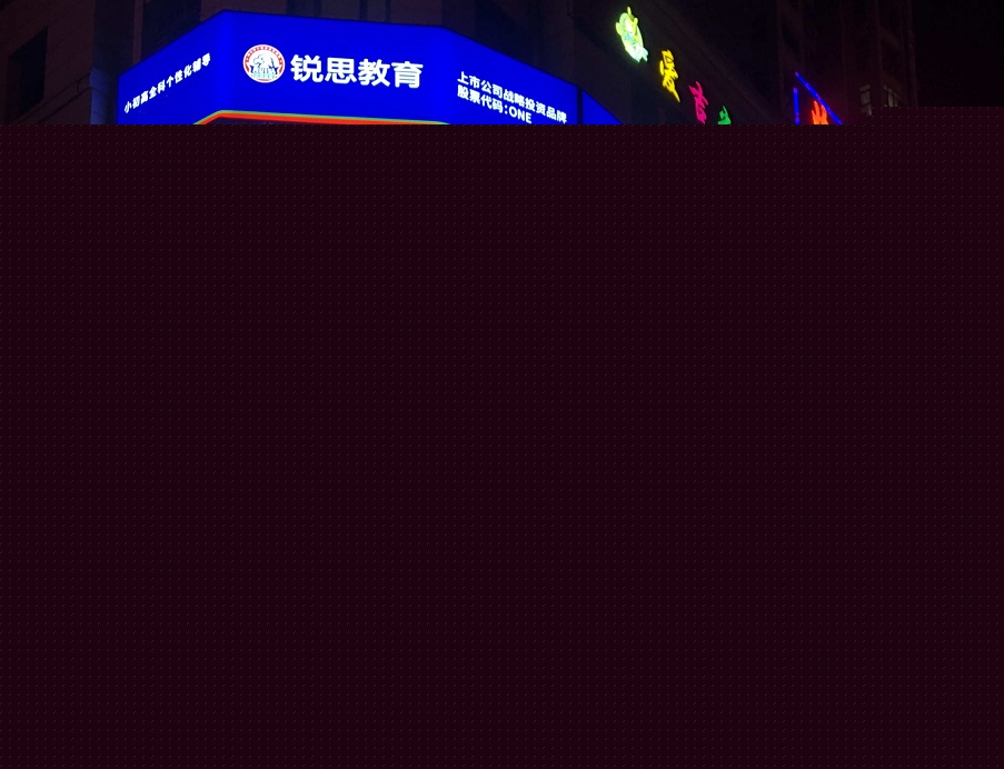 锐思教育机构简介